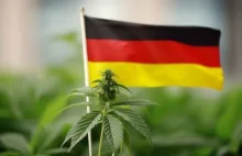 Niemcy coraz bliżej legalizacji marihuany - zmiany po rozmowach z UE