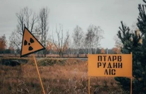 Zmarł ostatni z kacapów, który okopał się w lesie pod Czarnobylem w 2022 r.
