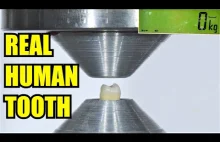 Jak mocne są ludzkie zęby?