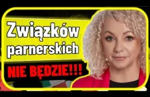 Związki partnerskie, czyli jak w 9 miesięcy zmarnować trzy czwarte roku [Kotula,