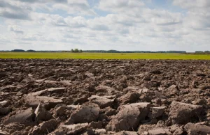 Co Sawicki radziłby Siekierskiemu ws. wyłączenia gruntów z wielkich dzierżaw?
