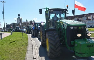 Szokujące ustalenia w sprawie zboża z Ukrainy. Mogło dojść do wielkiego oszustwa