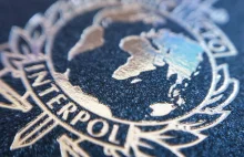Kandydat na stanowisko sekretarza generalnego Interpolu oskarżany o porwanie
