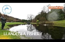 Llandegla Fishery - Walia - Wędkarstwo muchowe w UK