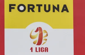 1. Liga zmieni sponsora tytularnego. W grze większe pieniądze.