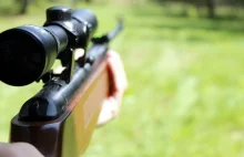 Sąd łowiecki skazał myśliwego za zastrzelenie dwóch łosi