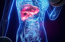 Czy stosowanie doustnych środków antykoncepcyjnych zwiększa ryzyko raka wątroby?