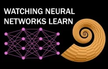 Patrz jak sieci neuronowe się uczą