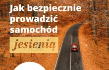 Bezpieczna jazda jesienią