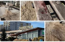 Horror na ulicach Opola. Zaatakował toporkiem przypadkowego człowieka.