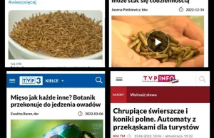 Promocja jedzenia owadów w polskich mediach