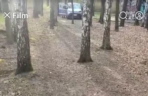 Straż miejska wywozi mężczyznę do lasu w nieznanym celu.
