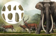 Najstarsza znana uczta, na której jedzono słonie. Odkrycie w Indiach