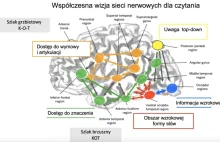 Jak nauka czytania zmienia mózg - Prof. dr hab. Katarzyna Jednoróg