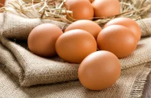 Dlaczego jajka są tak drogie?