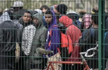 Austria: 60% pierwszoklasistów nie zna niemieckiego. To imigranci