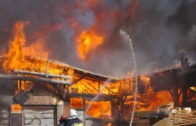 Skutki pożaru w Maui. Trudności w identyfikacji ofiar
