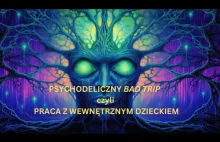 Psychodeliczny BAD TRiP czyli Praca z Wewnętrznym Dzieckiem (live z fb)