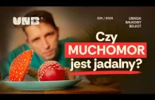 Czy muchomor jest jadalny?