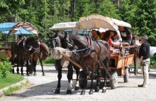 Koniec hybrydowych wozów na trasie do Morskiego Oka. Konie odpoczną