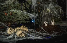 Firmowa magia - Halloween, Andrzejki i Karnawał