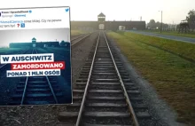 W spocie PiS z Auschwitz są kradzione ujęcia