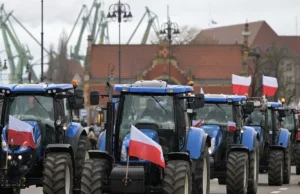 Rolnicy Europy środkowej łączą siły przeciwko UE