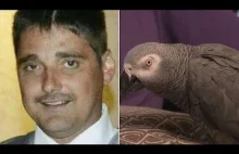 Pamiętacie papugę w Indiach, która wskazała mordercę? Oto podobna historia z USA