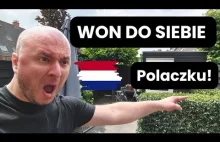 70% Polaków powinna być WYRZUCONA z Holandii
