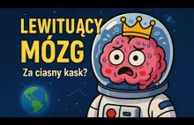 Polski mózg w kosmosie co poczuje Sławosz Uznański na orbicie?