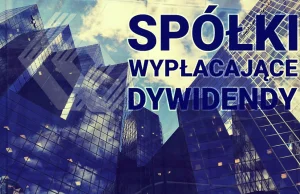 Wysokie dywidendy 2024. 11 spółek, których stopa dywidendy przekracza nawet 11%