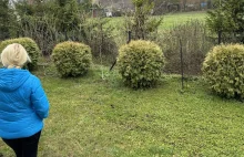 Decyzje wydane przez prezydenta Grudziądza i SKO były z naruszeniem prawa