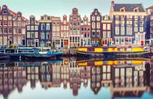 Badanie: prawie jedna czwarta holenderskich firm rozważa przeniesienie...