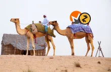 Dubaj zakazuje Monero i Zcash | BitHub.pl