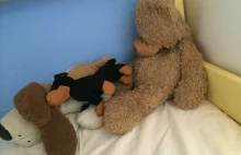 Rodzinny dramat w Wielkopolsce. Nie żyje 15-miesięczna dziewczynka