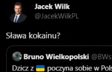 Polityk Konfederacji: "Sława kokainu?"