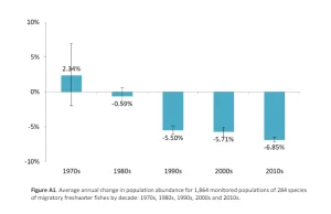 Populacja wędrownych ryb słodkowodnych spadła o ponad 80 proc. od 1970 r