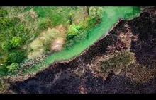 Susza. Dramat w trzech aktach.