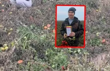 Pilny apel. Oddają pomidory. Wielki kłopot z nadmiarem.