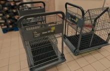 Sieć handlowa Auchan testuje wózki sklepowe dla psów.