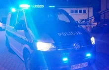 Ojciec zabił mu psa, więc doniósł na niego na policję. 60-latkowi grozi do 5 lat