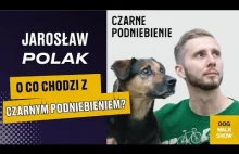 Jarosław Polak: Dlaczego Czarne Podniebienie? | DOG WALK SHOW #32