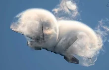 OBŁĘDNE zdjęcia polskiego fotografa łapiącego naszych sojuszników w powietrzu