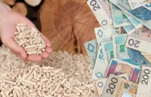 Pellet gwałtownie drożeje! Czy stanie się królem wysokich cen?