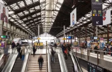 Paryż: malijski immigrant z włoskimi papierami zaatakował na dworcu Gare de Lyon