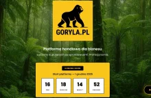 Republika chce powalczyć z Allegro, Amazonem i Temu. "Naszą siłą są widzowie"