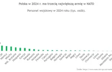 Polska z największą armią w Europie? Tak twierdzi NATO.