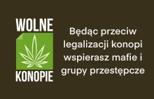 Wolne Konopie w Sejmie - 12.04.2024