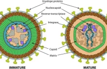 Co zawdzięczamy wirusom (3): podstępni włamywacze, czyli wirusy w stylu retro