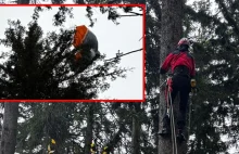 Czeska paralotniarka utknęła na gałęzi. Ratownicy musieli wspinać się po drzewie